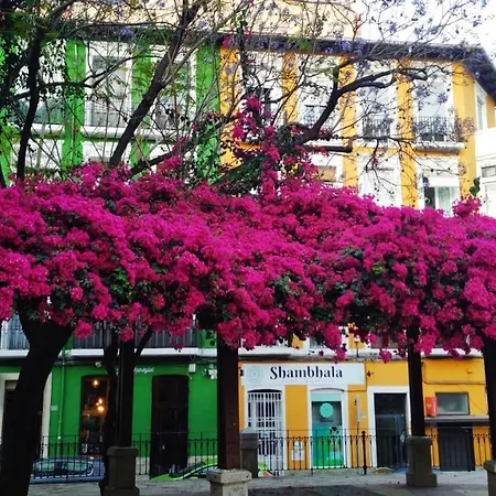 Charming In Near The Sea & Center * Alicante